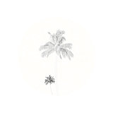 Drawing style palm trees and border