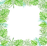 Tropical floral frame with green palm leaves