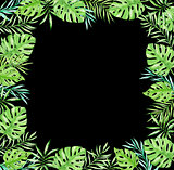 Green palm leaves on a black background