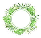 Round watercolor tropical floral frame