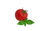 isolated tomato with leaf of basil on white background