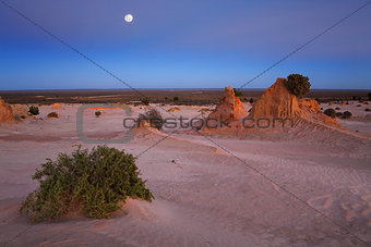 Desert landscape at dawn
