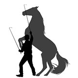 Silhouette of a man  training horse to rear up