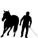 Silhouette of a man training a horse