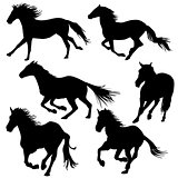 Silhouette of horses galloping
