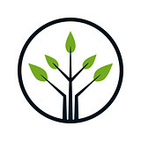 Logo design for tree