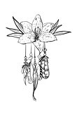Monochrome vector illustration with hand drawn flower and bird feathers. Ornate ethnic items, feathers, beads and flower.