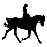 The black silhouette of horse and jockey