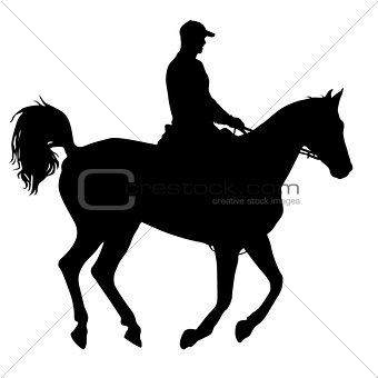 The black silhouette of horse and jockey