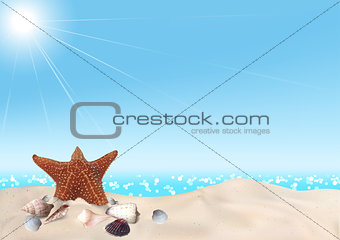 Seashells on Seashore Background
