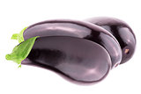 Three fresh eggplant over white background with clipping path