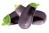 Three fresh eggplant over white background