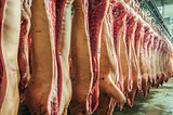 Fresh meat in a cold cut factory