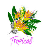 Tropical vector floral collage