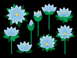 Set of lotus flowers.