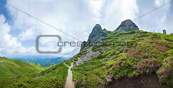 Panoramic view of Mount Ciucas on summer with wild rhododendron 