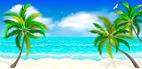 Tropical beach, palm trees