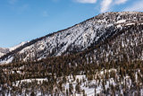 Hillside in Mammoth Lakes, California, January 2017, a record snow-fall year