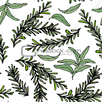Seamless Endless Pattern of Rosemary Branch and Sage. Background with Aromatic Healing Herb. Steak Meat Spice. Hand Drawn Illustration. Savoyar Doodle Style.
