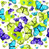 pattern with butterflies 2