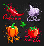 Set of fresh vegetables cherry tomato pepper garlic chili and parsley