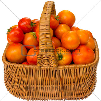 Fresh tomatoes in a basket on a white background.   