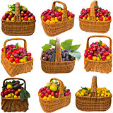 Basket with cherry plum and plums.