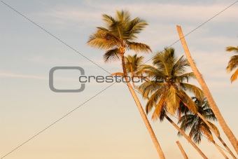 Sunset in the caribbean