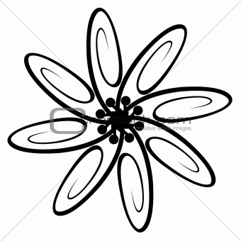 image of the ornamental flower isolated on white background