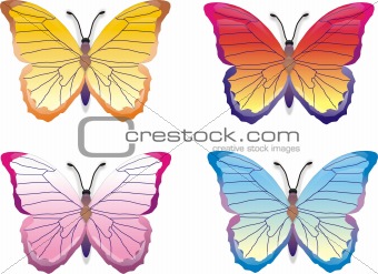 color butterflies