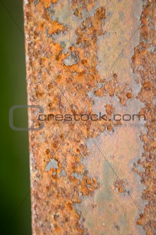Orange Rust Texture