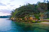 Bush Headland Sydney Harbour