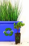 Tall grass inside recycle bin 