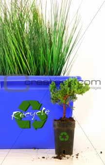 Tall grass inside recycle bin 