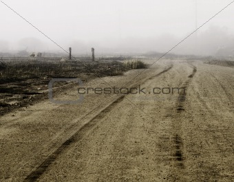 Tire Tracks on a Dirt Road