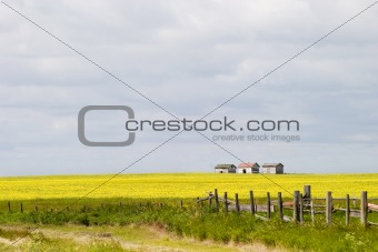 Prairie Landscape - Fence Line