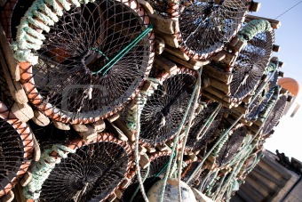 Lobster Trap Detail