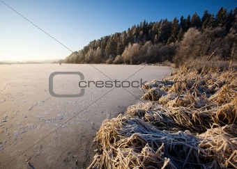 Lake Landscape in Winter