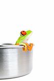 frog on cooking pot isolated