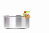 frog on cooking pot