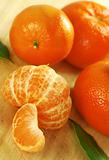 Juicy Clementines