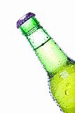green bottle isolated