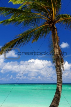 Scenic view on Caribbean sea
