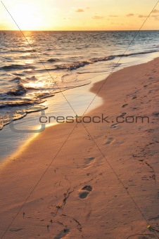 Footprints on sandy beach at sunrise