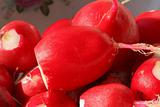 macro of peeled moist radishes
