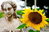 Sunflower Statue