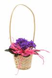 decorative basket full of violets