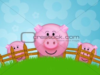 Pig in the farm