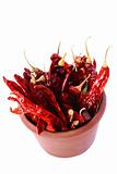 Hot Red Chilli Chillies pepper in teracotta pot