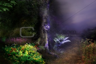 ‘Fantasy Night In Magical Forest’ backgrounds
